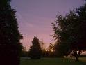 Coombe Park e